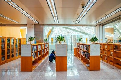 2022年深圳圖書館清明節(jié)開放嗎