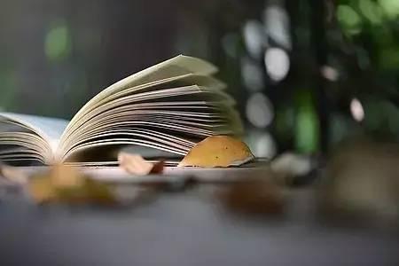 眉山各大圖書館正有序恢復開放，借閱書籍還能領福利!