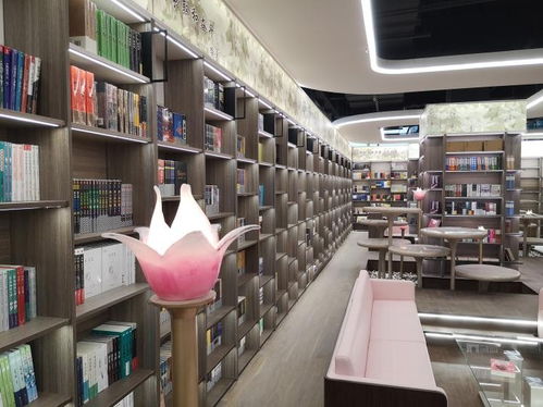 大變化 10月1日,保定市新華書店圖書大廈重裝開業